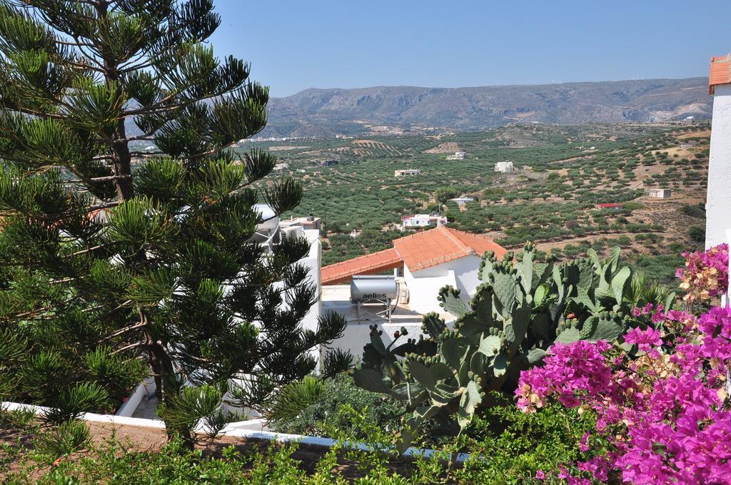 Castri Village Hotel Palekastro Exterior photo